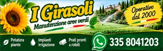 Pubblicità
